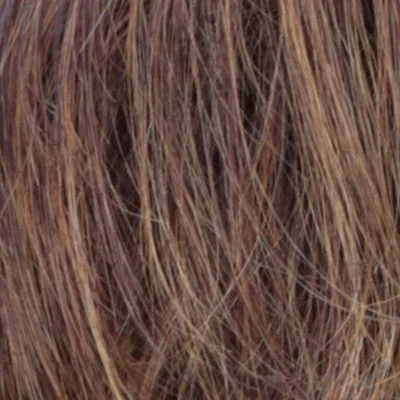 R32/33/40F | Dark Brown Dark Auburn With Medium Golden Blonde Frost