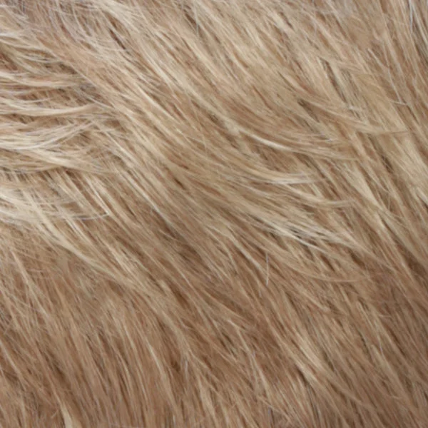 RH1488 | Dark Blonde w/Lightest Blonde Highlights